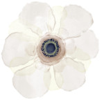 beautiful-flower