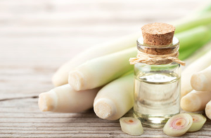 lemongrass 